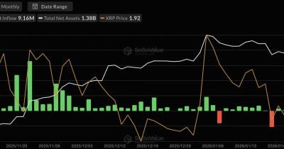 XRP ETFs Post Record Inflows as Institutions Pile In