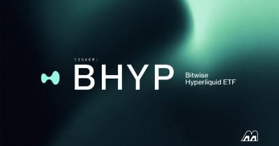 Corporate Treasuries Hold 13% of HYPE Token Supply