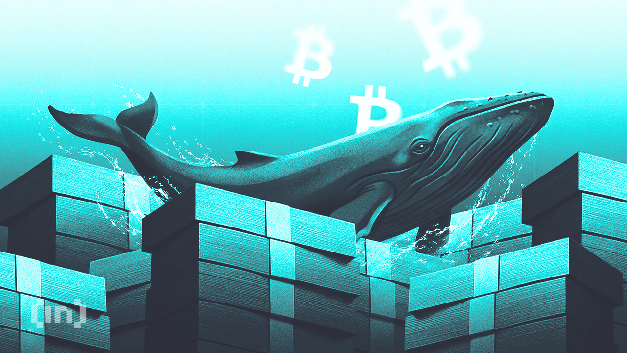 Brian Armstrong: Bitcoin Has Probably Bottomed, Still Betting on Digital Gold Thesis