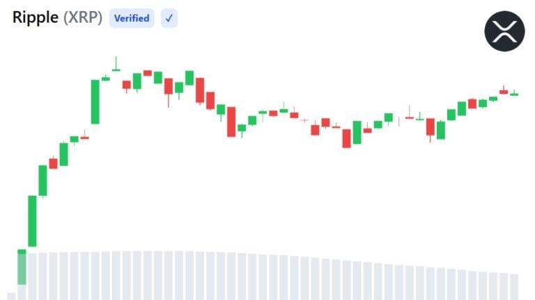 XRP Ledger Activity Rises to Two-Month High as Bearish Sentiment Hits Extreme