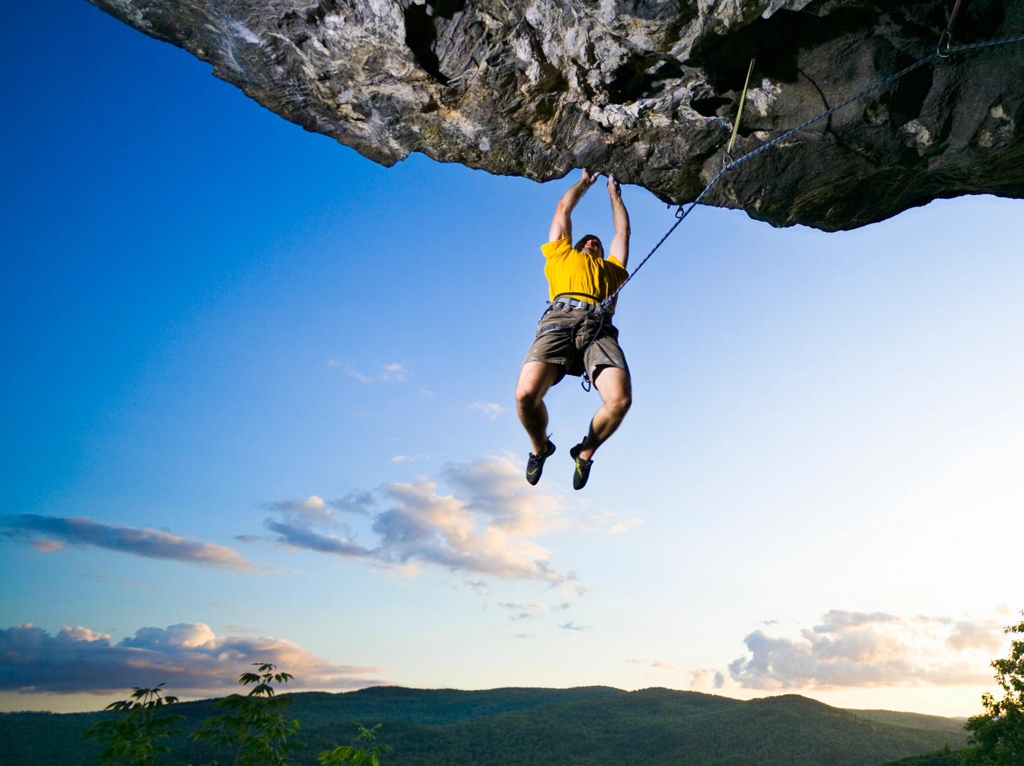 Bitcoin Shows Resilience Amid Historic Losing Streak, Outperforms Gold