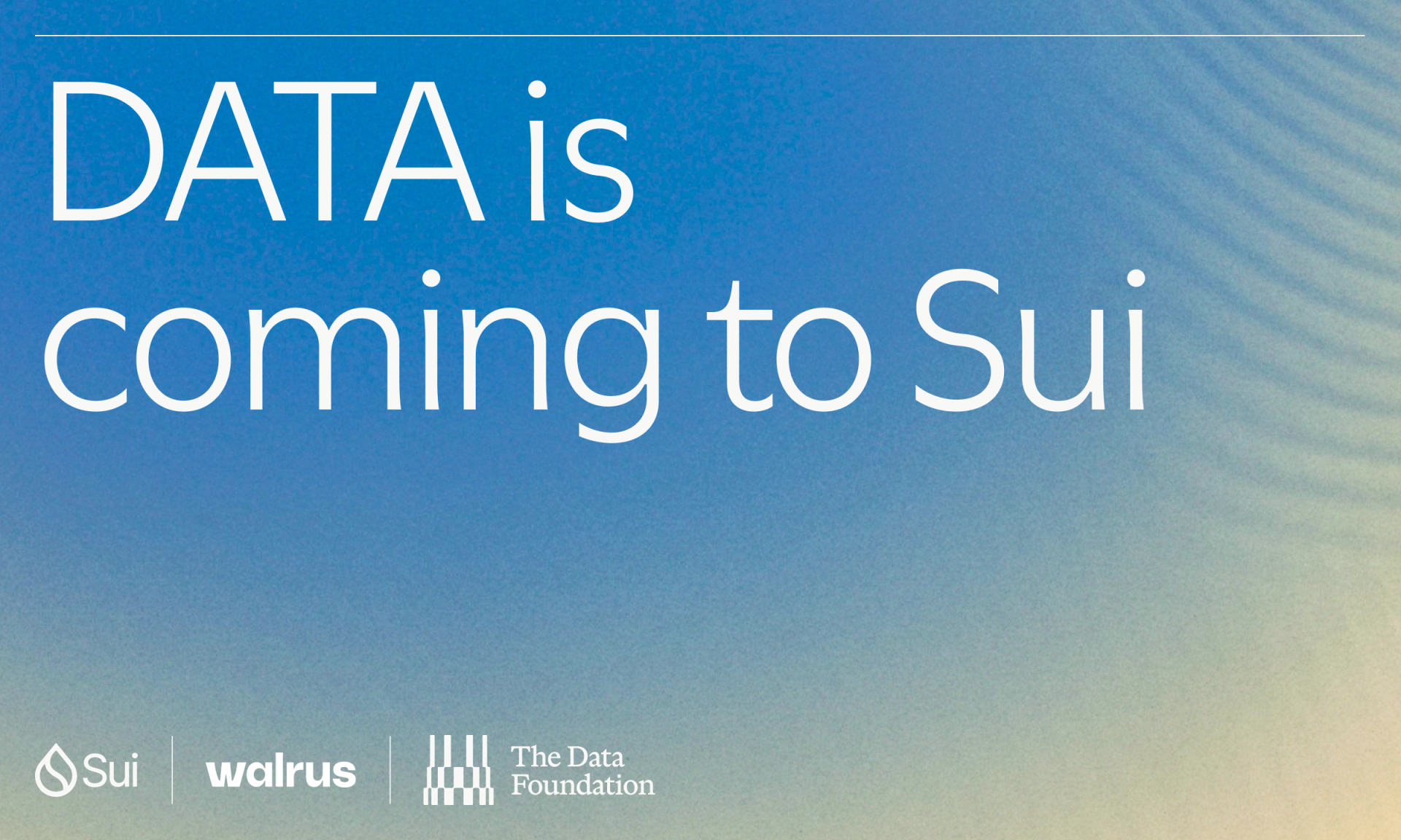 DATA Network Moves to Sui with $30M Foundation Investment, Retires Independent Chain