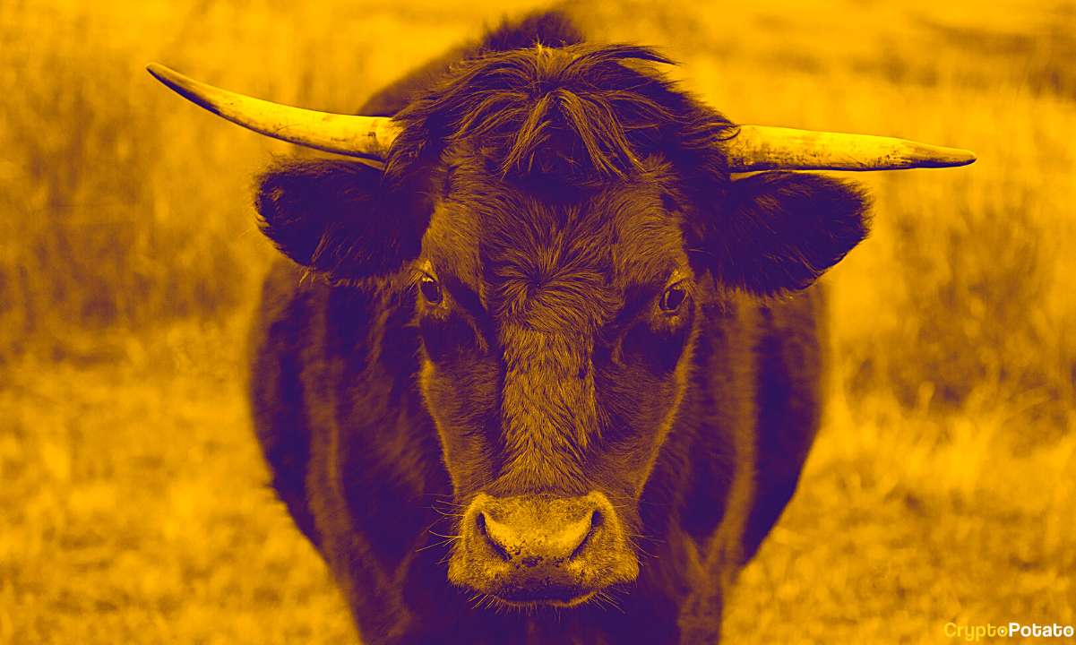 Altcoin gauges break year-long downtrends, analyst sees biggest bull run yet