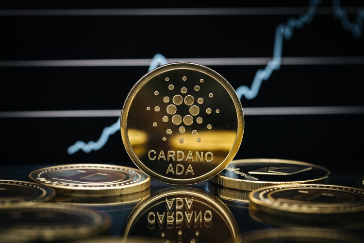 Cardano plunges 30% in a week as on-chain metrics point to possible bottom near $0.03