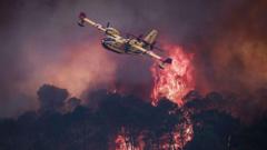 Wildfires in France, Spain Could Accelerate Decentralized Insurance Adoption
