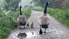 UK Bank Holiday Weather: Mild Forecast Has No Bearing on Crypto Markets