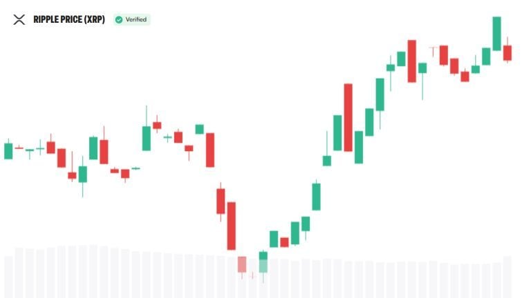 Bitwise CIO Says XRP's Track Record and Familiar Financial Functions Drive Institutional Appeal