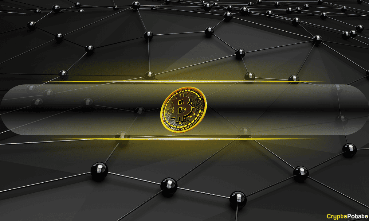Bitcoin Retail Holders Sell at Fastest Pace Since December as Whales Accumulate