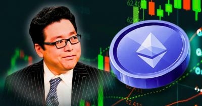 BitMine Stakes 4.9M ETH, Annualized Revenue Hits $244M
