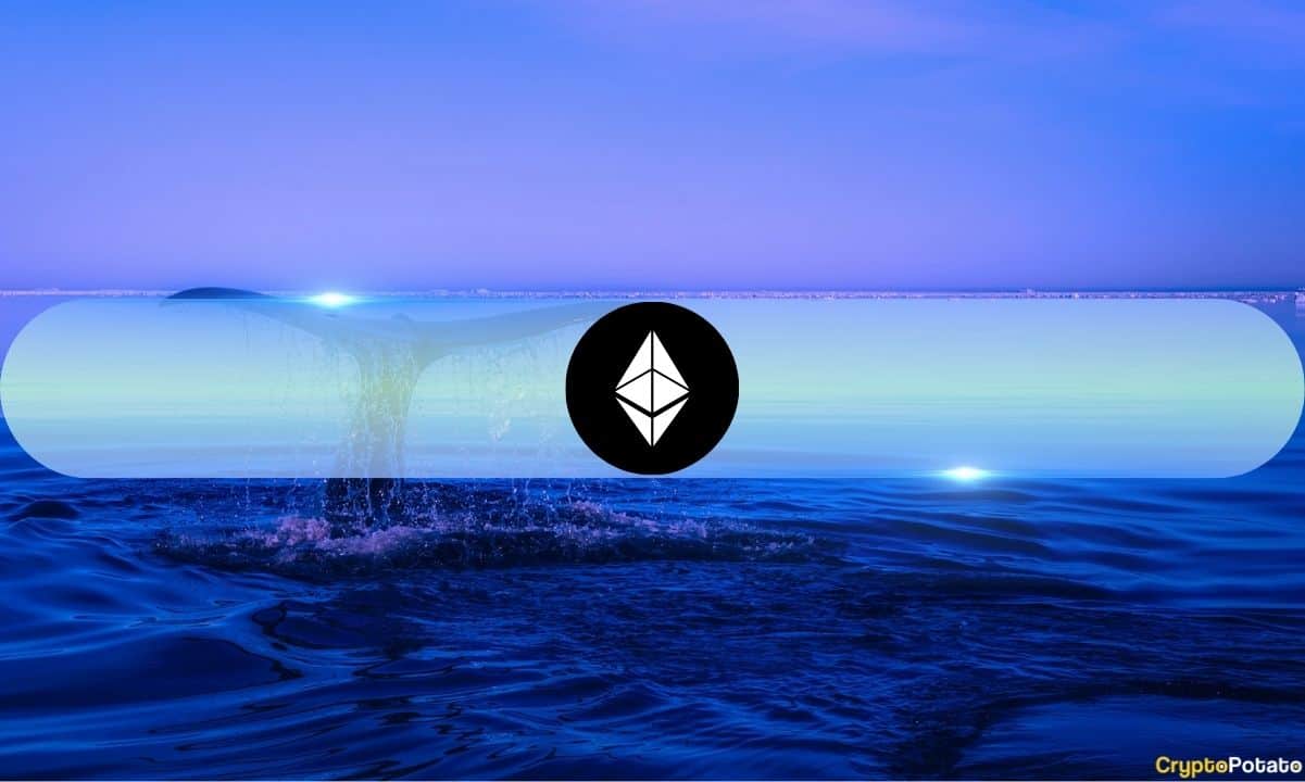 Ethereum Dips Below $2,000 as Whales Accumulate; Analyst Flags $1,560 Target