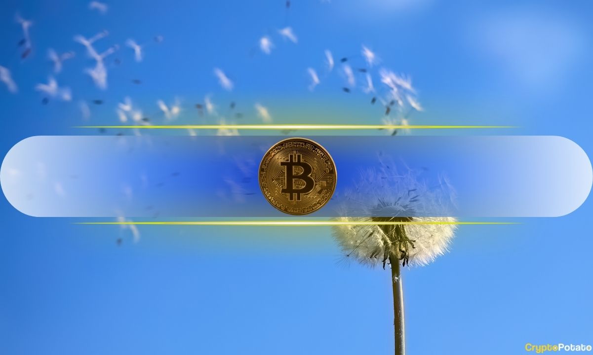 Bitcoin's Sharpe Ratio Drops to -23, Sparking Debate Over Market Bottom