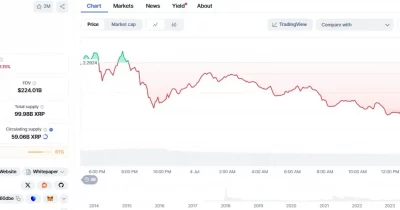 Whale Bets $224,000 That XRP Held Steady Through June 2024