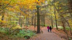 UK Braces for Coldest Autumn Night as Arctic Air Hits, Bitcoin Mining Impact Limited