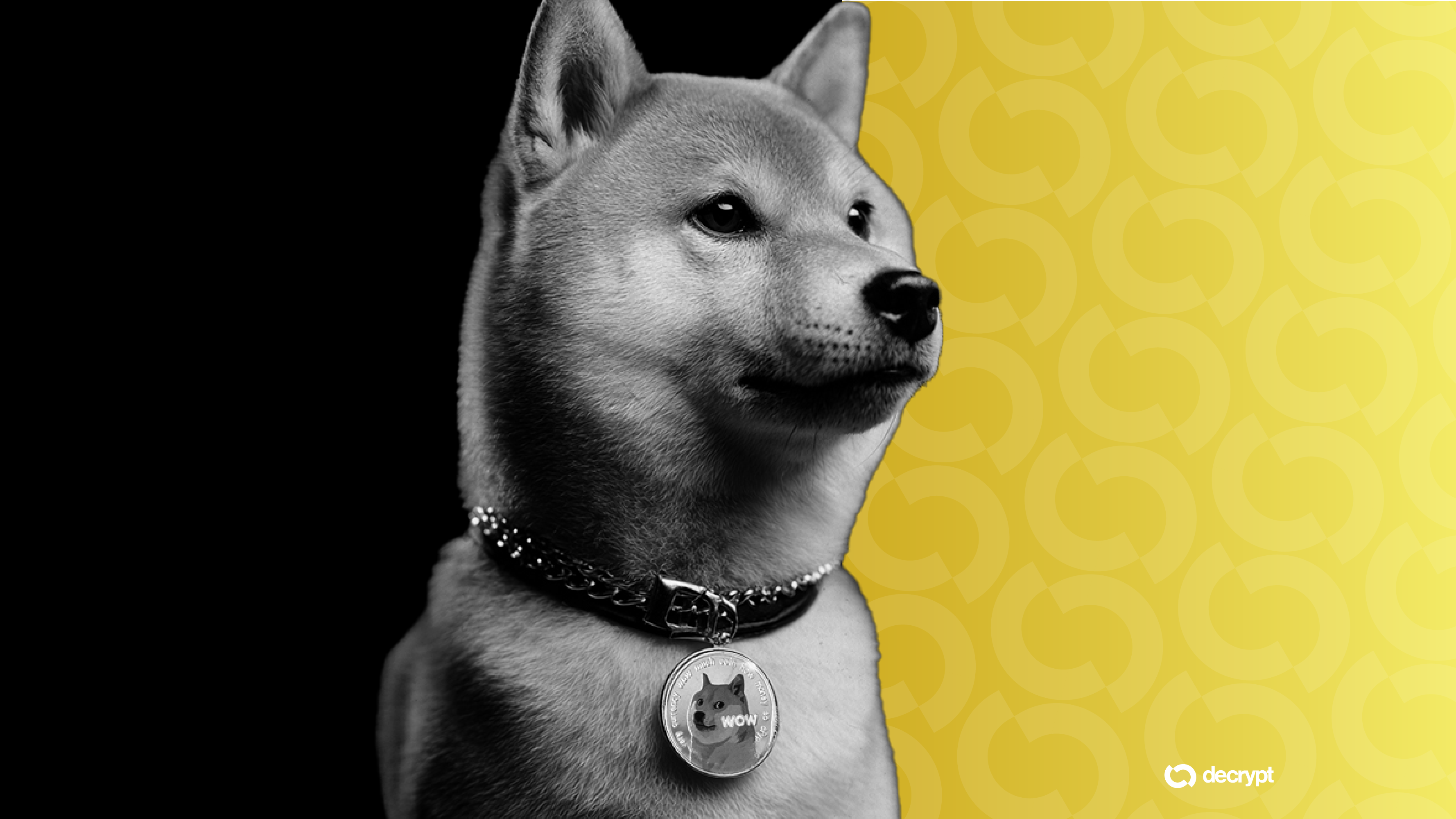 Shuttle Shifts to Dogecoin Mining in Public Company First