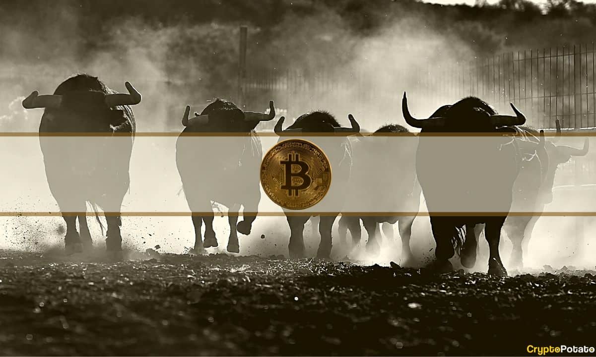 Bitcoin Hovers at $73,000 as Analysts Eye Two-Week Window for Upside – or Drop to $61,000