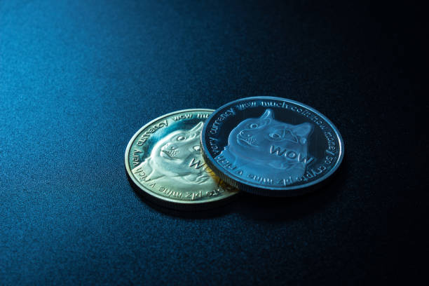 Dogecoin Whale Holdings Hit Record as Analyst Flags 2021 Pattern Repeat