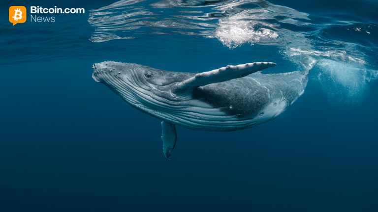 Bitcoin Whale Moves 500 BTC From 2013 Address, Over $40M Shifted Sunday