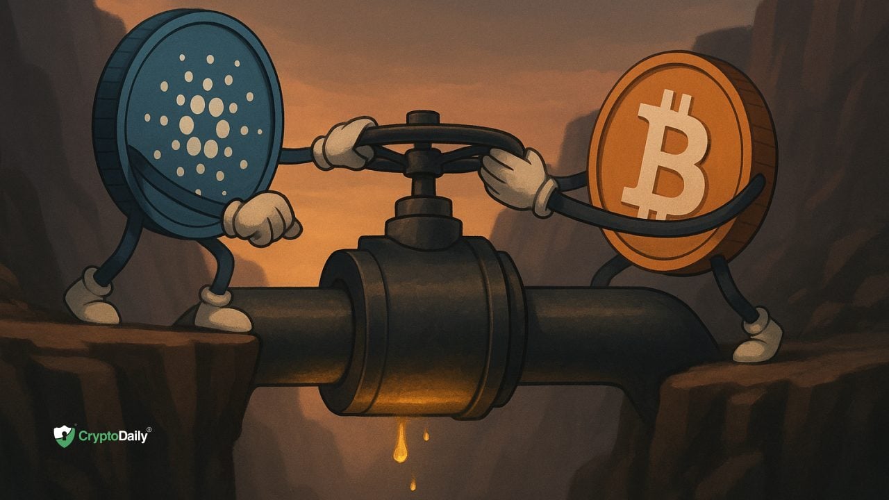 Cardano Vies for Bitcoin Liquidity With Low-Fee DeFi Pitch