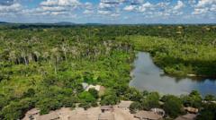 Brazil's Amazon Burned Less in 2025 Than Any Year Since 1985 — and Crypto Miners Should Pay Attention
