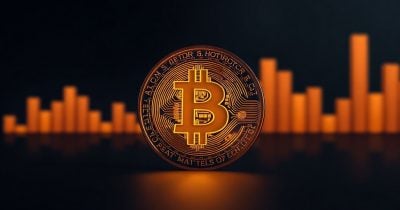 CryptoQuant Tells Strategy to Halt Bitcoin Buys, Rebuild Cash Reserves