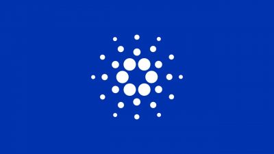 Cardano Blockchain Tapped to Verify Georgian Wine Bottles
