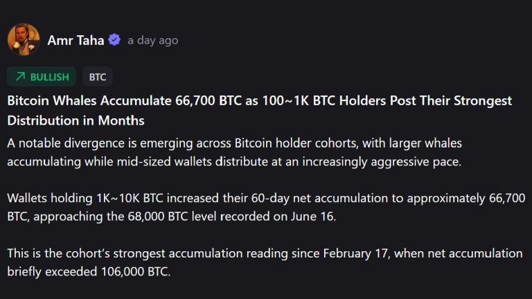 Bitcoin Wallets With 1,000–10,000 BTC Add 66,700 Coins in Two Months