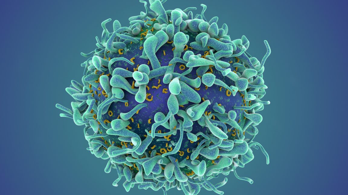 CAR T MS Trial Spurs Blockchain Clinical Data Talks