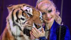 Tiger Escape in Germany Offers Unlikely Parable for Crypto Market Fear