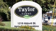Taylor Farms Salmonella Recall Revives Case for Blockchain Food Traceability