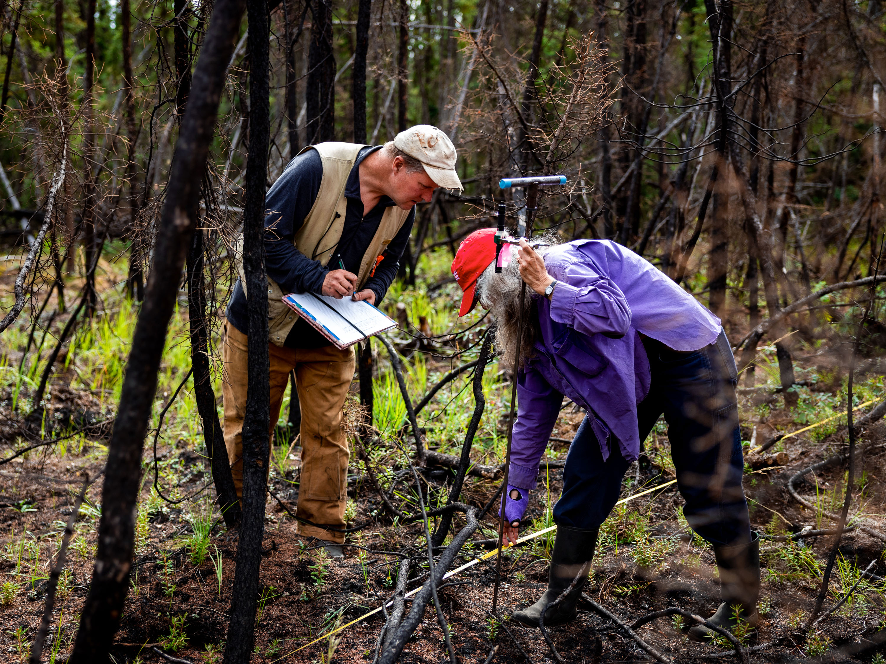 North Fire Initiative Takes Aim at Arctic Permafrost Thaw