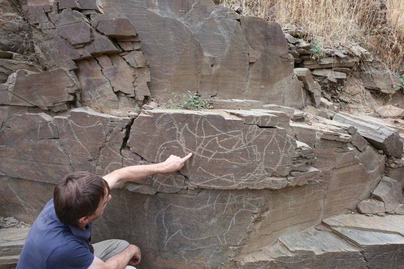 Archaeologists Dig Into How Ice Age Hunters Saw the Côa Valley Animals