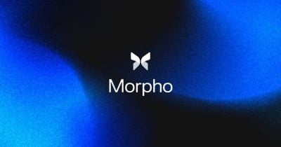 Morpho Raises $175M at $2B Valuation in Push to Bring DeFi to Banking
