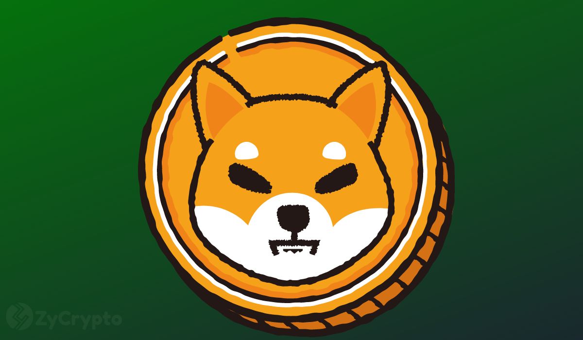 Shiba Inu Community Figure Suggests SHIB Spot ETF Ambitions Closer to Reality