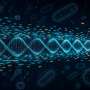 New Microbial DNA Profiling Method Targets Contamination in Scarce Metagenome Samples