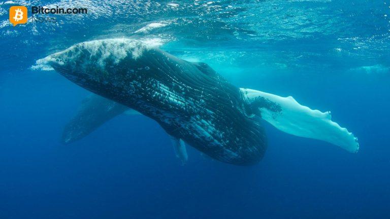 Whale Sells UNI, COMP at $39.7M Loss; Half of $62.8M Position Still Held