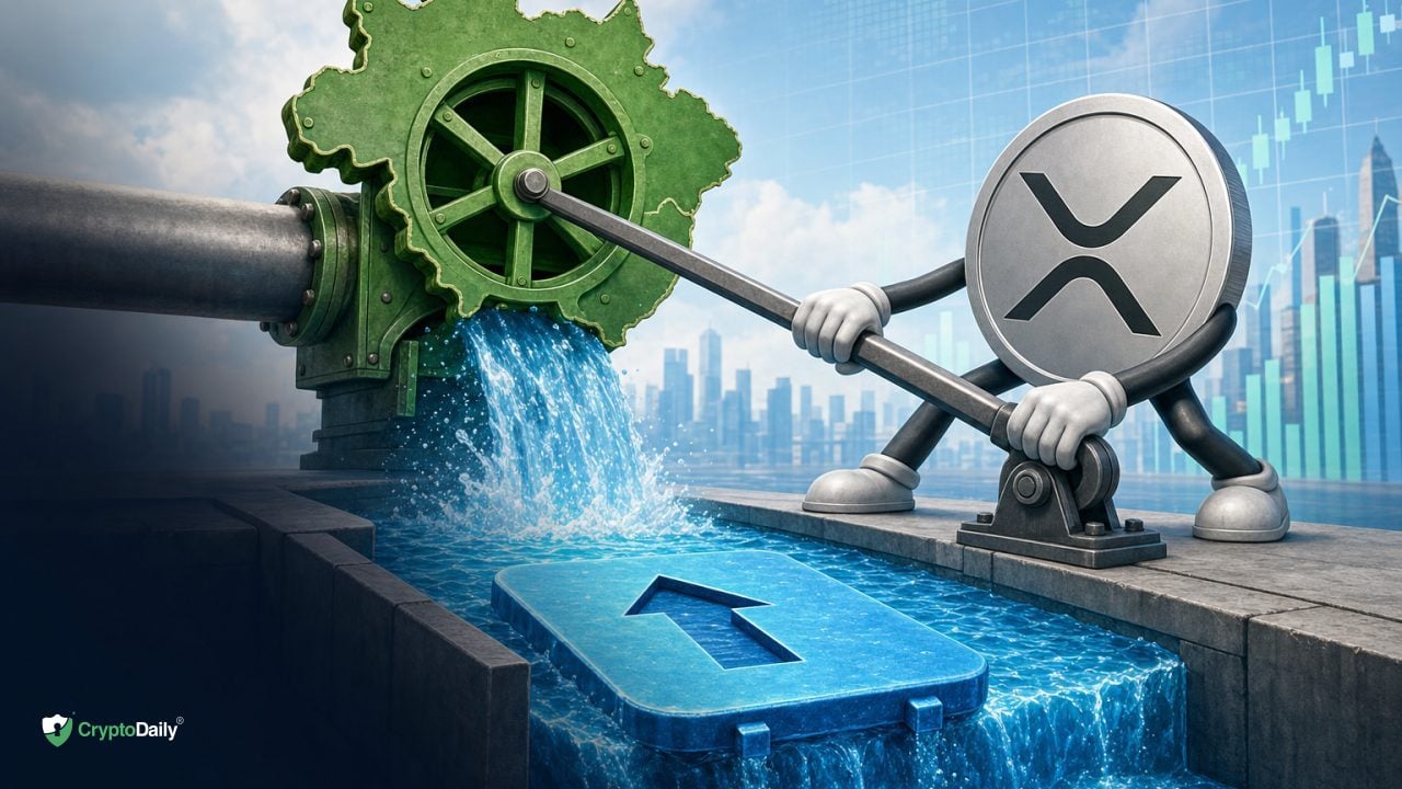 Ripple's Brazil Accelerator Logs 44,000 On-Chain Transactions, Backs 9 Startups