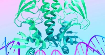 AlphaFold3-Powered Framework Aims to Make Gene Editing Safer