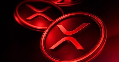 BlackRock Crypto AUM Plunges 39% Despite $15B Inflows This Year