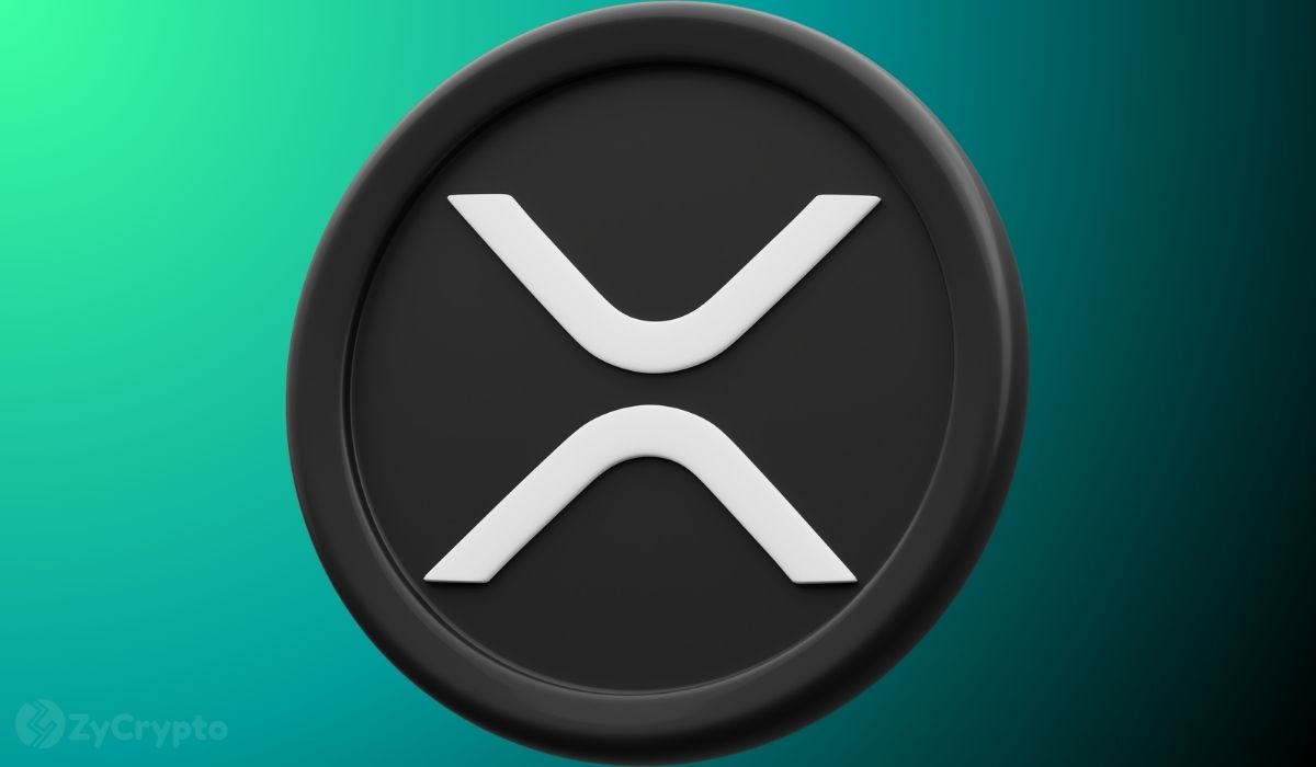 XRP Whale Transactions Drop 57% in Nine Days