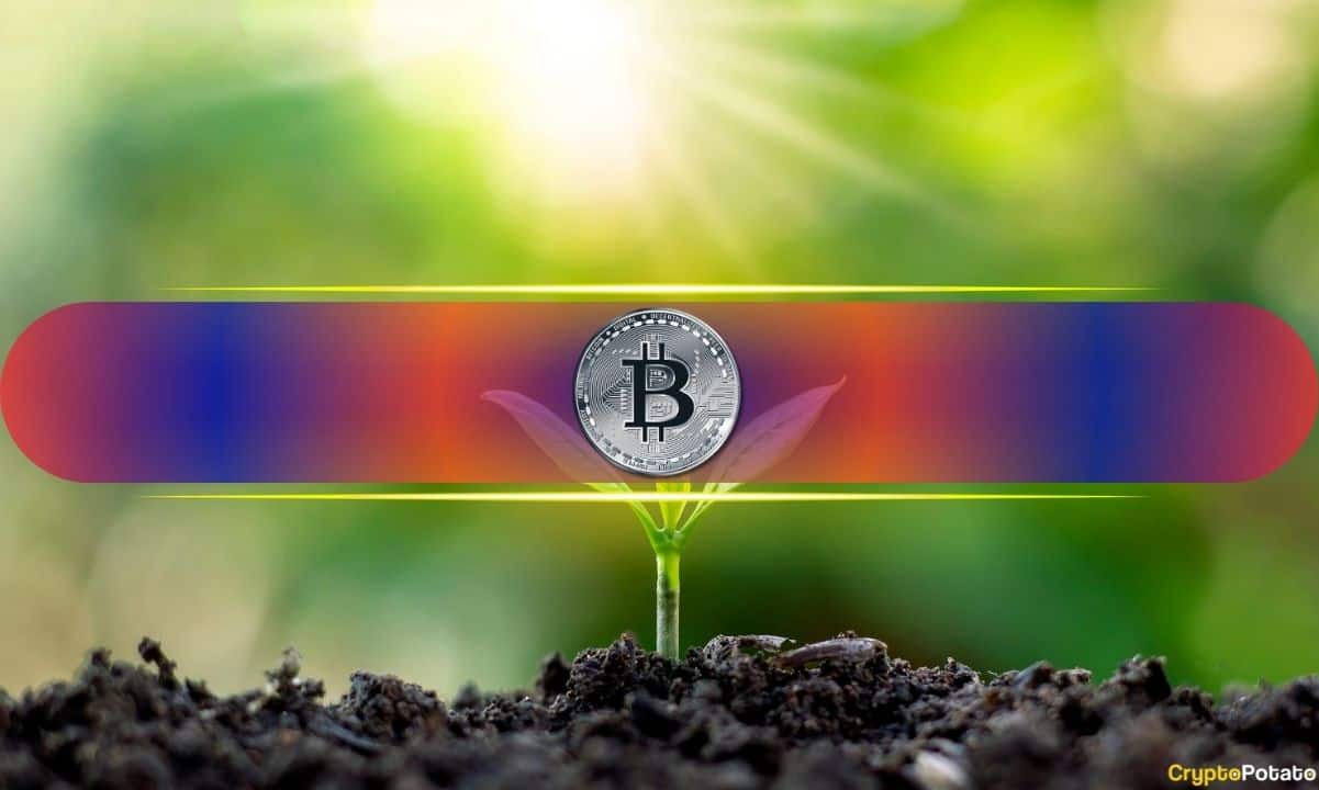 Bitcoin Holds Above $64K as Analyst Flags $54K-$64K Buy Zone