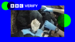 Von BBC Verify analysierter Messerangriff verstärkt Nervosität an Kryptomärkten – Bitcoin fällt um 6,9%