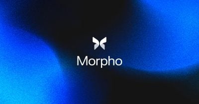 Morpho Midnight Launches Quoter Bot to Automate Fixed-Rate Lending