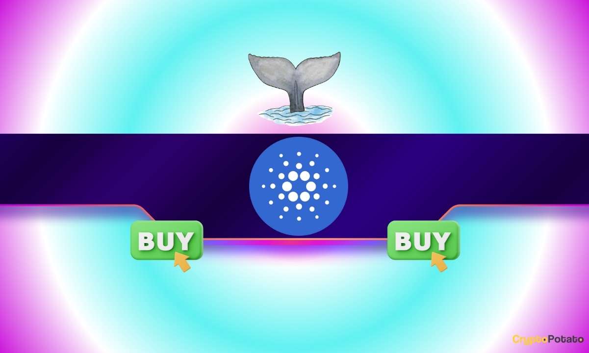 Cardano Whales Accumulate 240M ADA, Pushing Price Past $0.19 as Analysts Flag Breakout