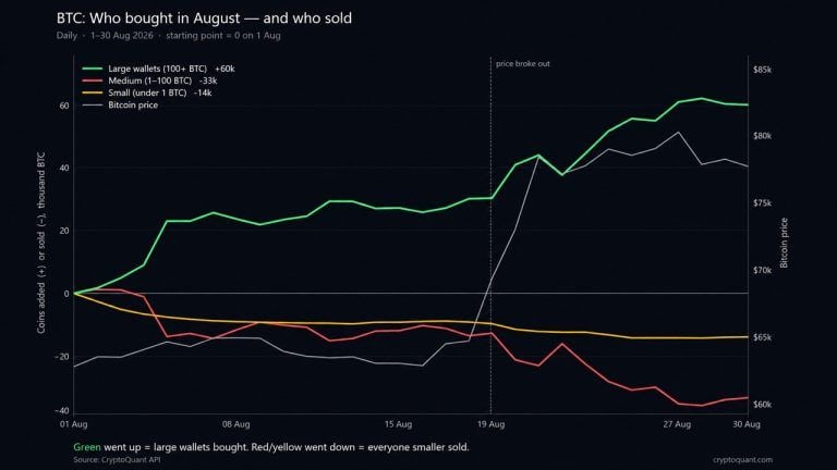 Whale Wallets Added 60,000 BTC in August as Smaller Holders Sold, Data Shows