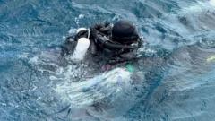 Maldives diving tragedy that crypto markets completely ignored