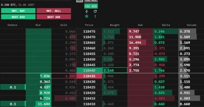 Lighter Partners With Insilico Terminal to Court Professional Traders