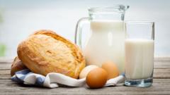 Stale 2022 Egg Price Resurfaces as Crypto Fear Hits Extreme, Contrarians See Bottom
