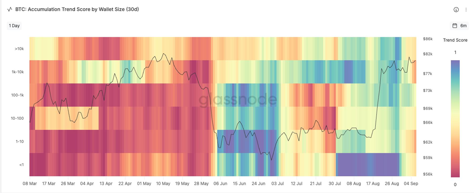 Bitcoin Hits $83K Sell Wall as All Wallet Cohorts Shift to Distribution