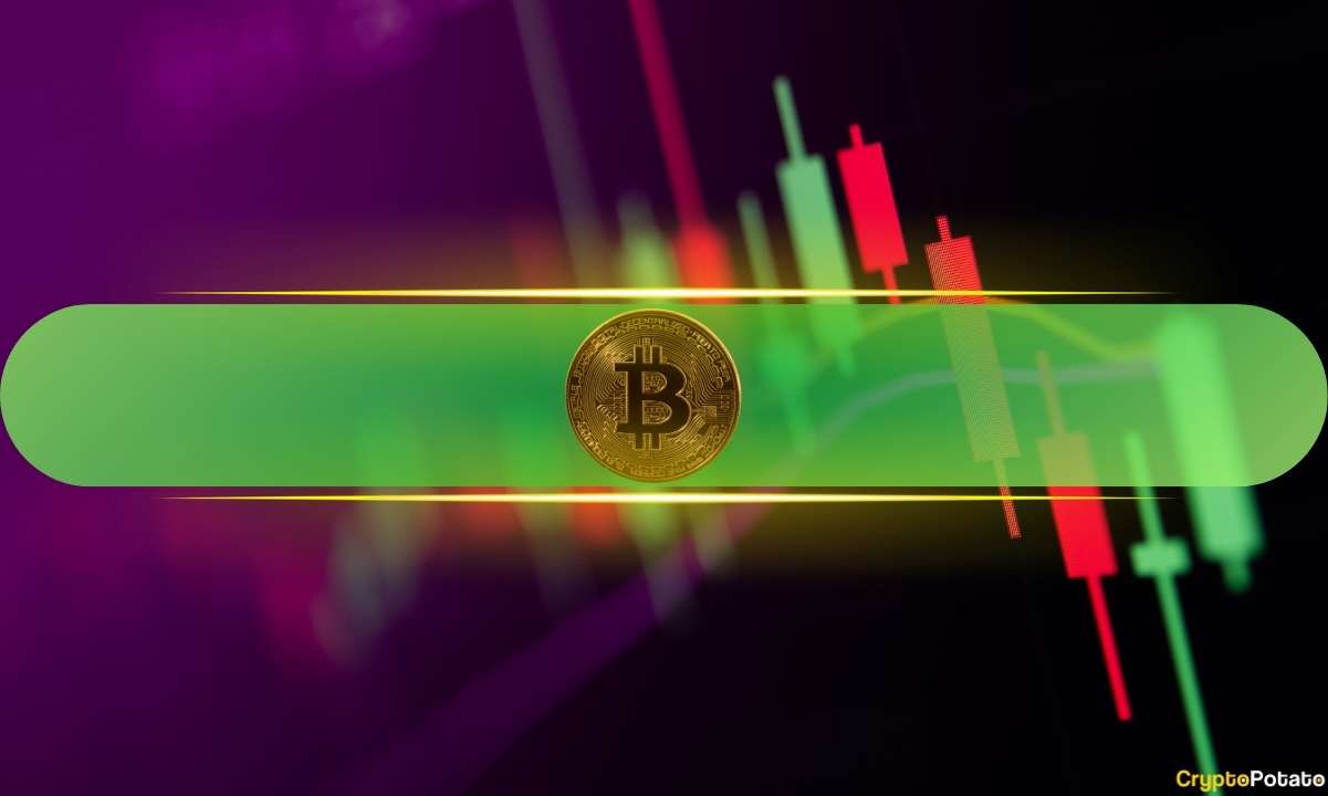 Bitcoin Tops $81,000 in 15-Week Peak, Solana and Zcash Lead Altcoin Push