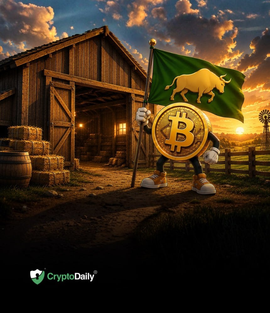 Bitcoin's Shallow Pullback From $79.5K Leaves Bull Flag in Focus